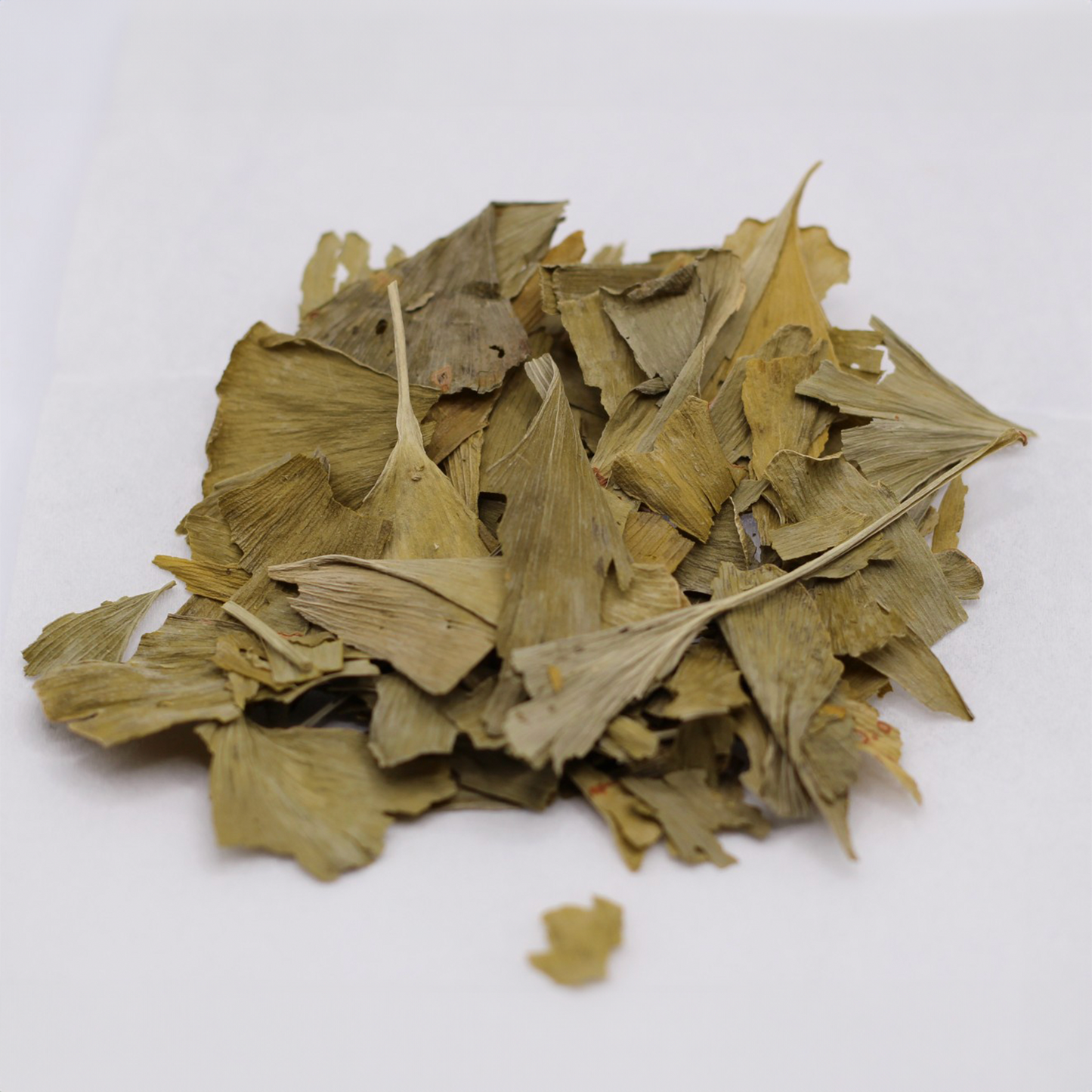 Ginkgo Leaf - Whole USA