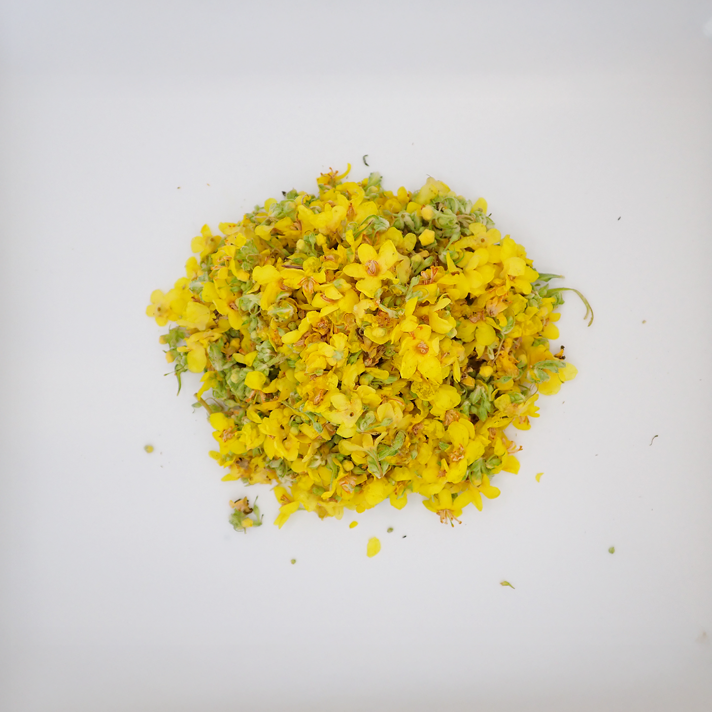 Mullein Flower - Fresh