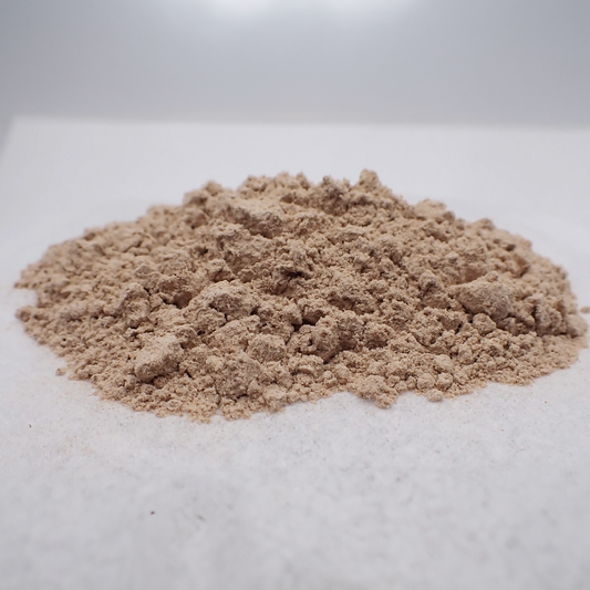 Astragalus Root - Powder