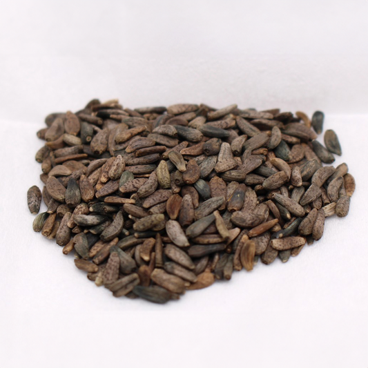 Burdock Seed - Whole