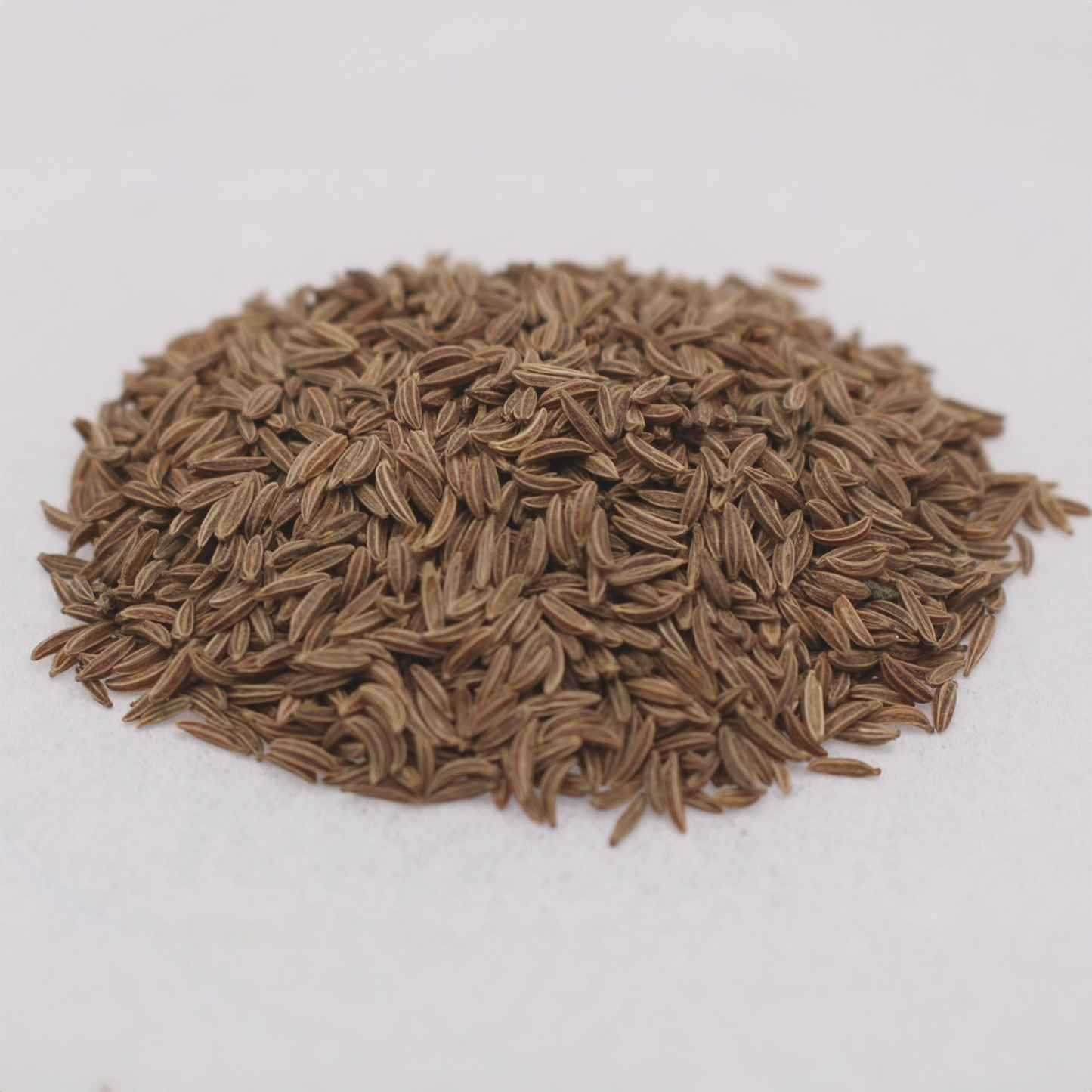 Caraway Seed - Whole