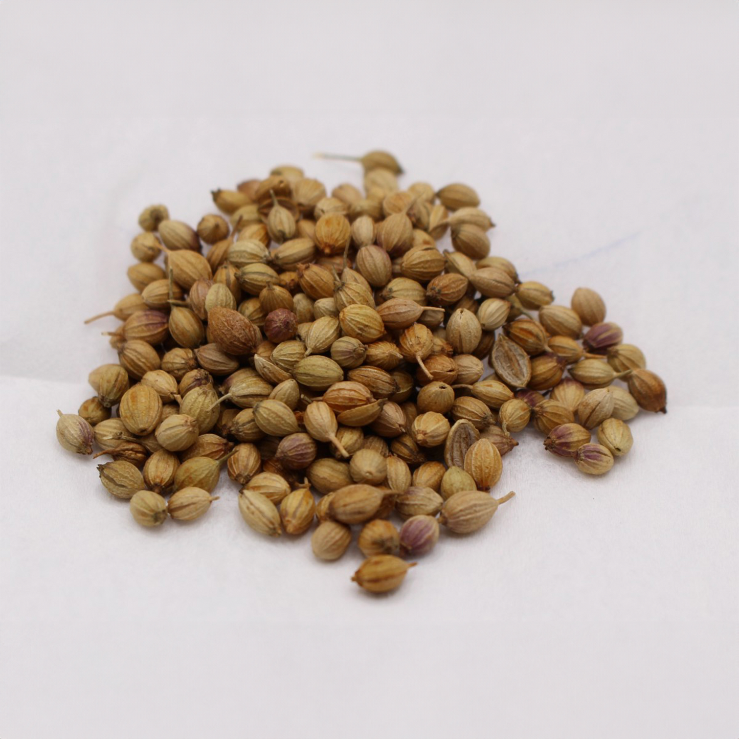 Coriander Seed - Whole