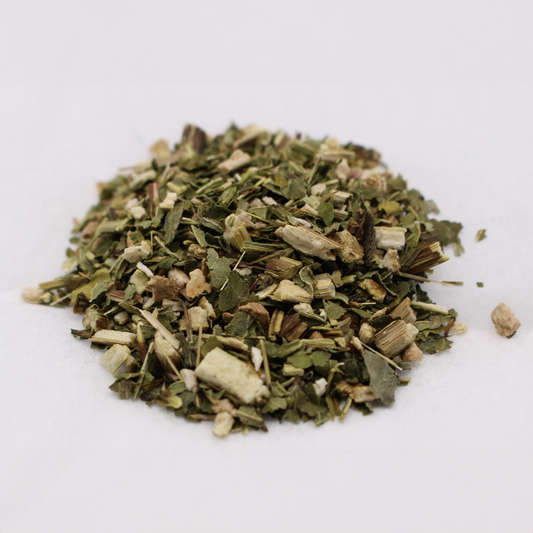 Echinacea purpurea - Cut