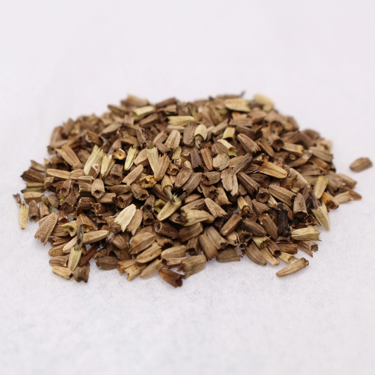 Echinacea Purpurea Seed - Whole