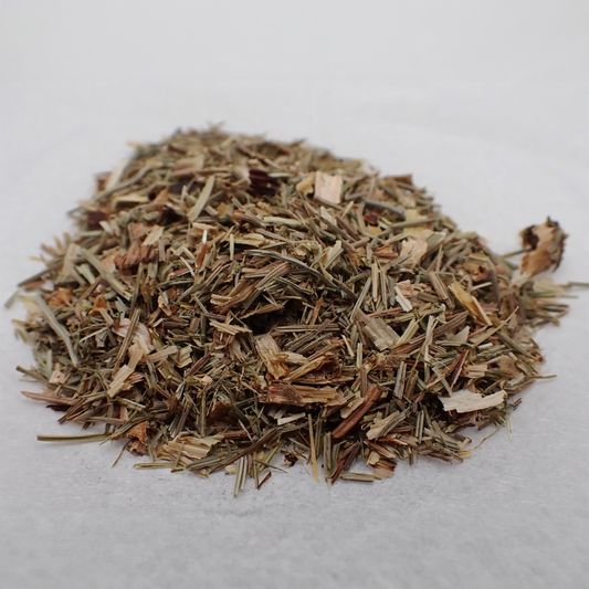 Horsetail Shoots - Cut