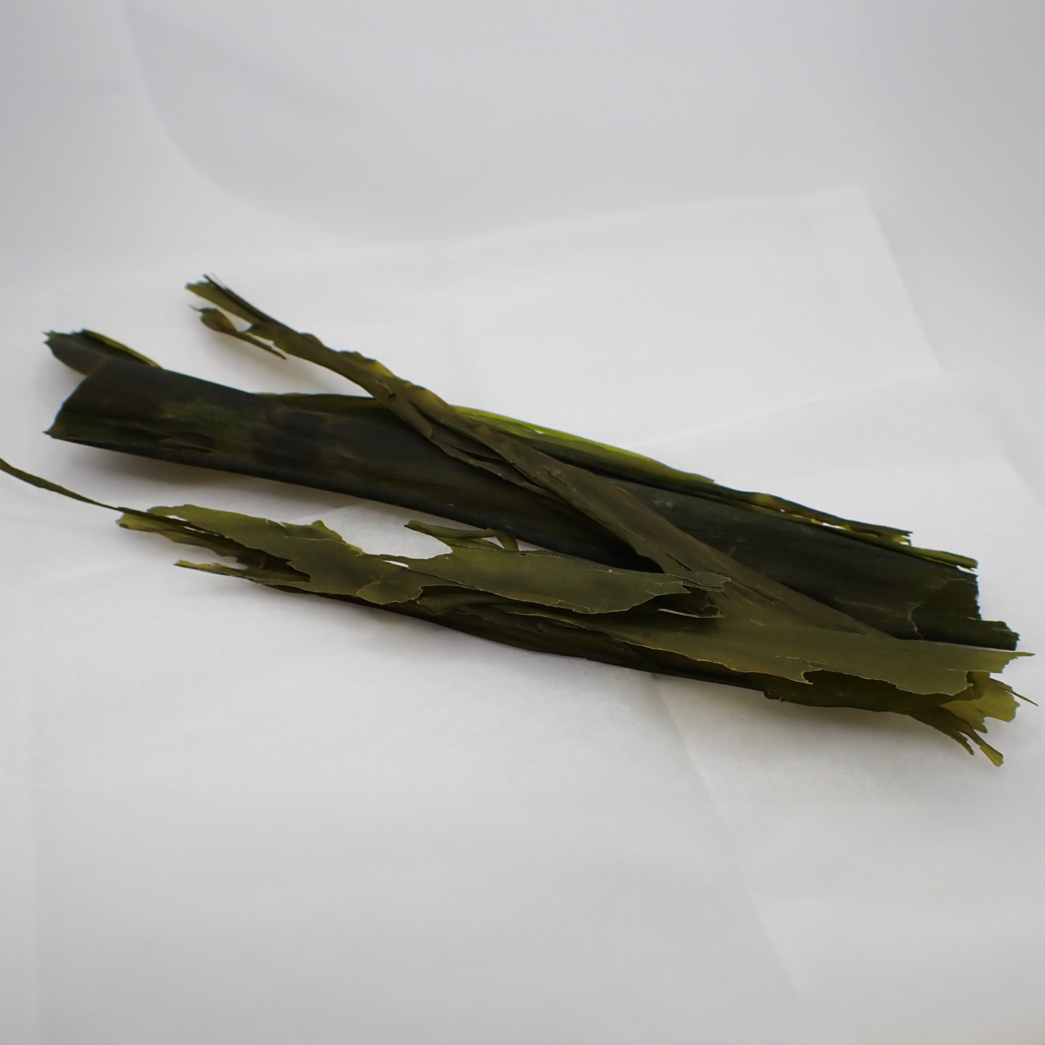 Kelp Fronds Whole Pacific Botanicals