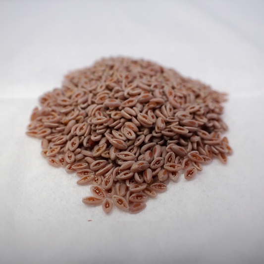 Psyllium Seed - Whole