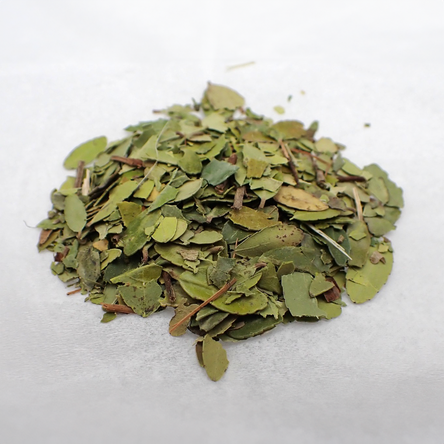 Yaupon Tea Leaf - Cut