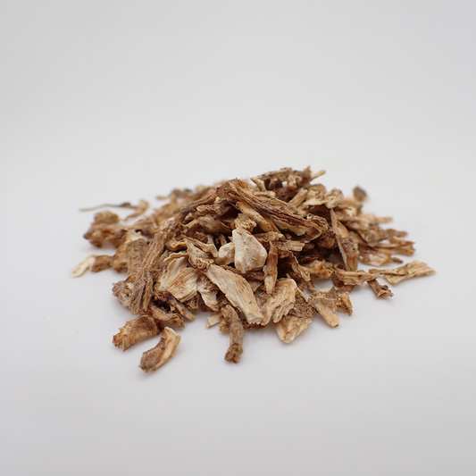 Angelica Archangelica Root - Cut