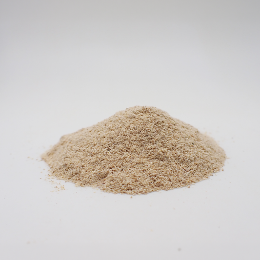 Angelica Archangelica Root - Powder
