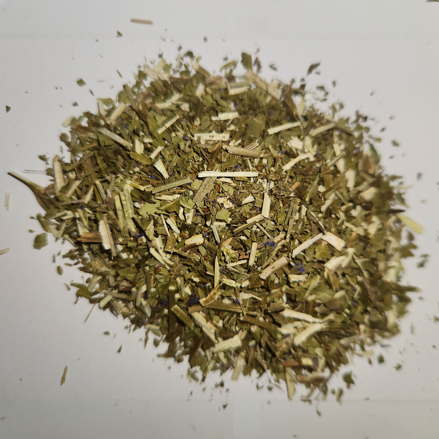 Blue Vervain - Cut