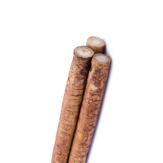 Burdock Root - Fresh