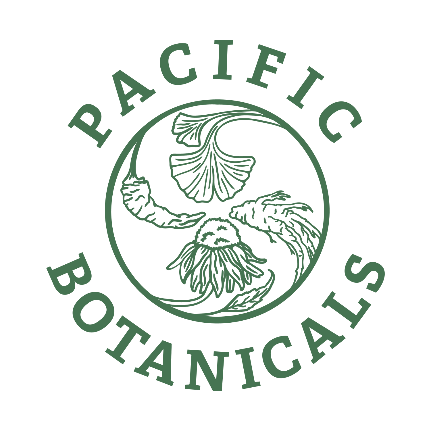 Bloodroot Powder | Pacific Botanicals