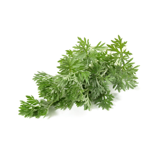 Wormwood Tops - Fresh